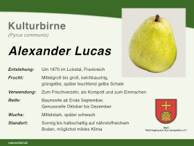 Birne Alexander Lucas