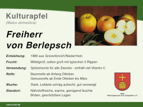 Apfel Freiherr von Berlepsch