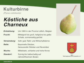 Birne Köstliche aus Charneux