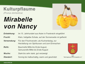 Mirabelle von Nancy