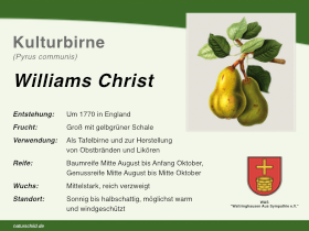 Williams Christ Birne
