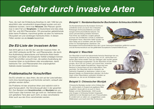 Gefahr durch invasive Arten
