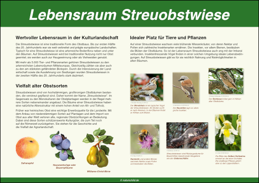Streuobstwiese