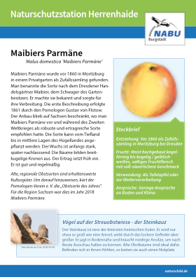Maibiers Parmäne